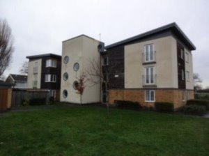 Front view